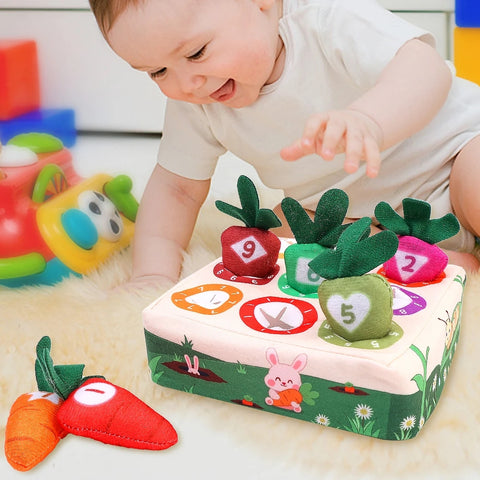 Baby Montessori Toy Sensory Activity