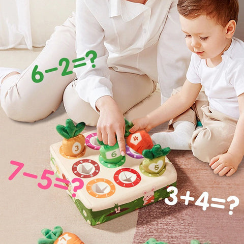 Baby Montessori Toy Sensory Activity